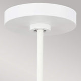 ELSTEAD Lighting Darwin 1 Light Pendant - Matte White with Wood accent
