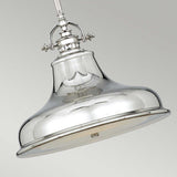 ELSTEAD Lighting Emery 1 Light Medium Pendant - Imperial Silver Quoizel