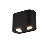 COOKIE 2lt Ceiling Light - Black or White Matt, Adjustable Lampholders
