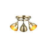 ENDON Wyatt 3lt Round spotlight