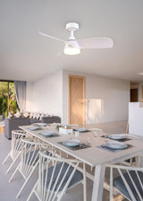 Modern dining room with a ceiling fan, table, and chairs.