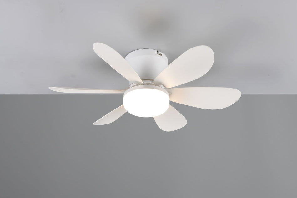 LED Ceiling Fan, Remote Control, Colour Selectable, Night Function - LUND