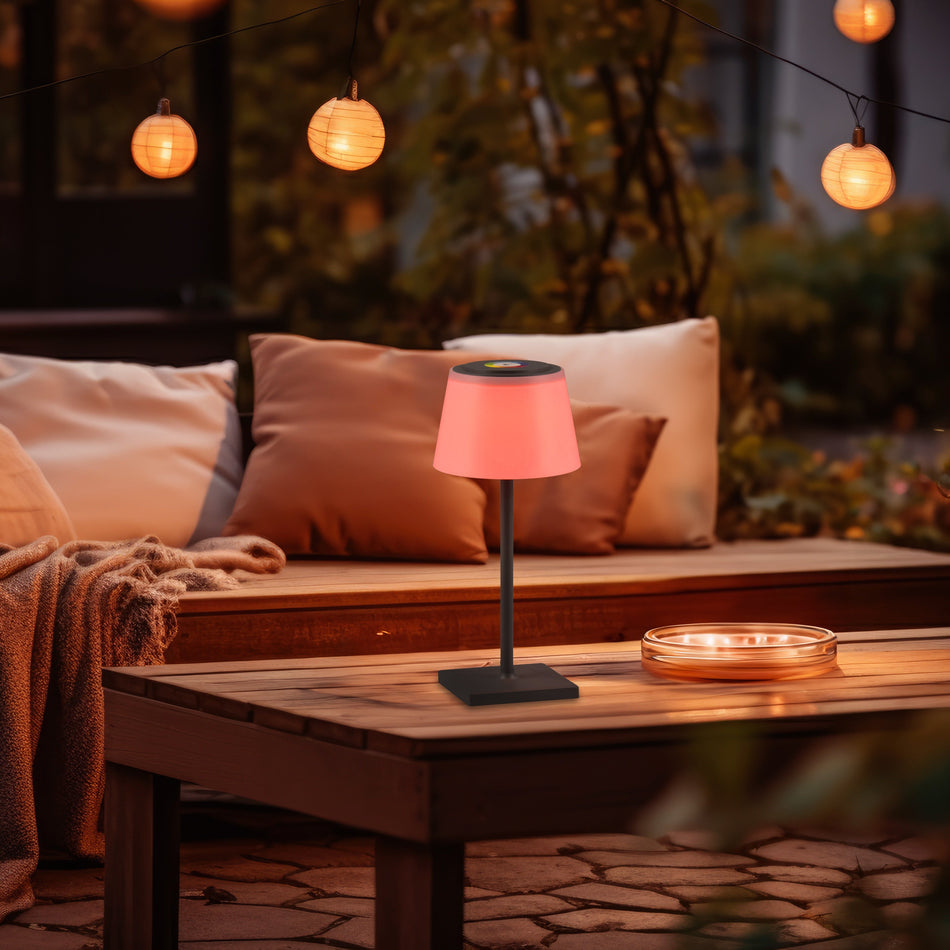 SANCHEZ Rechargeable USB-C LED Table Lamp with Colour Changer