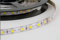 AVANTI Lighting 4.8W IP65 Tape 5m Coil