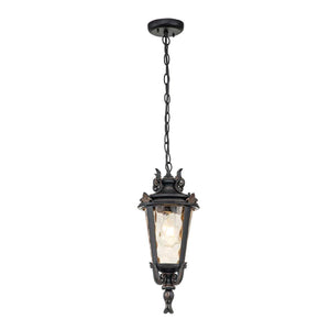 ELSTEAD Lighting Baltimore 1 Light Medium Chain Lantern - Weathered Bronze