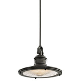 ELSTEAD Lighting Sayre 1 Light Large Pendant - Olde Bronze - Olde Bronze